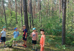 Chłopcy chodzą po lesie.