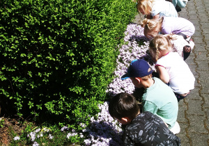 dzieci podziwiają kwiatki
