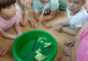 Fale ze słomki"- Dzieci dmuchają przez słomkę na wodę w misce. Wnioskują że ruch powietrza wywołuje fale na wodzie.