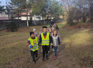 Wycieczka do lasu i na plac zabaw