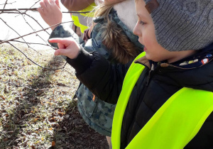 Dzieci obserwują pączki na gałęziach.