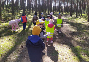 Dzieci spacerują po lesie.