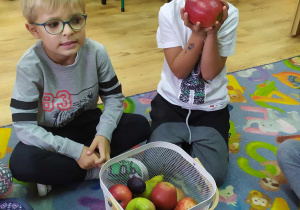 Chłopcy poznają różne odmiany jabłek