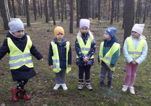 Dzieci na zajęciu ekologicznym w lesie
