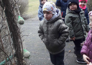 Przedszkolaki zawieszają kule z ziarnami dla ptaków