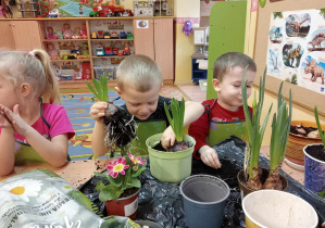 Dzieci sadzą cebulki kwiatów