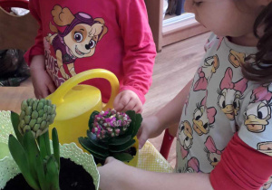 Dziewczynki sadzą pierwsze wiosenne kwiaty