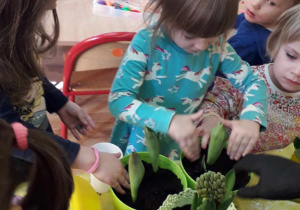 3-latki zakładają w sali "zielony kącik"